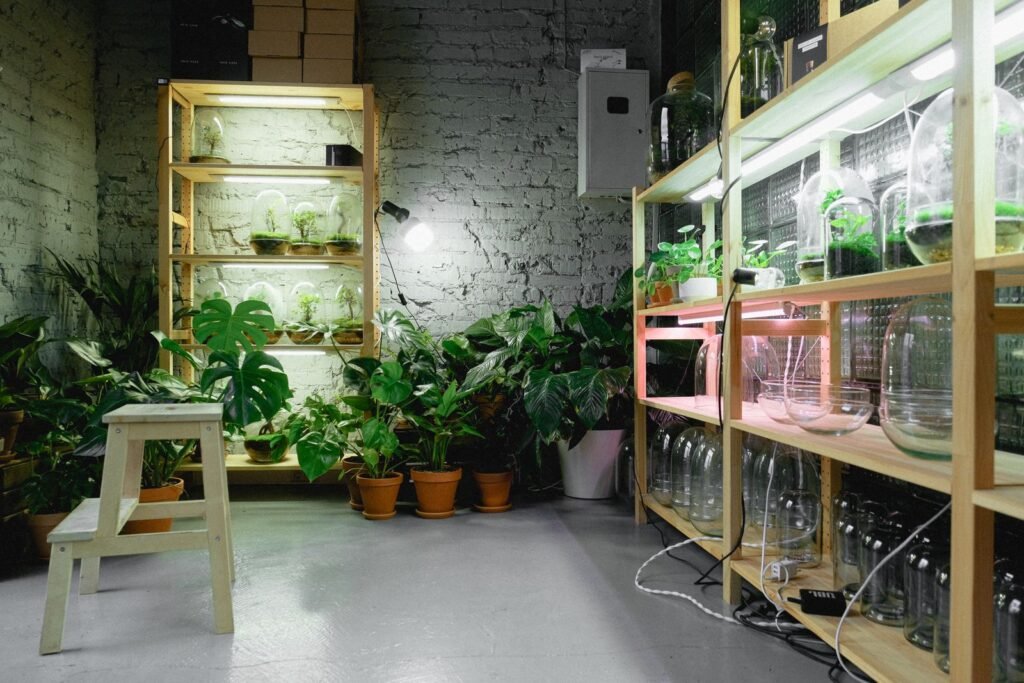 How to set up a grow light