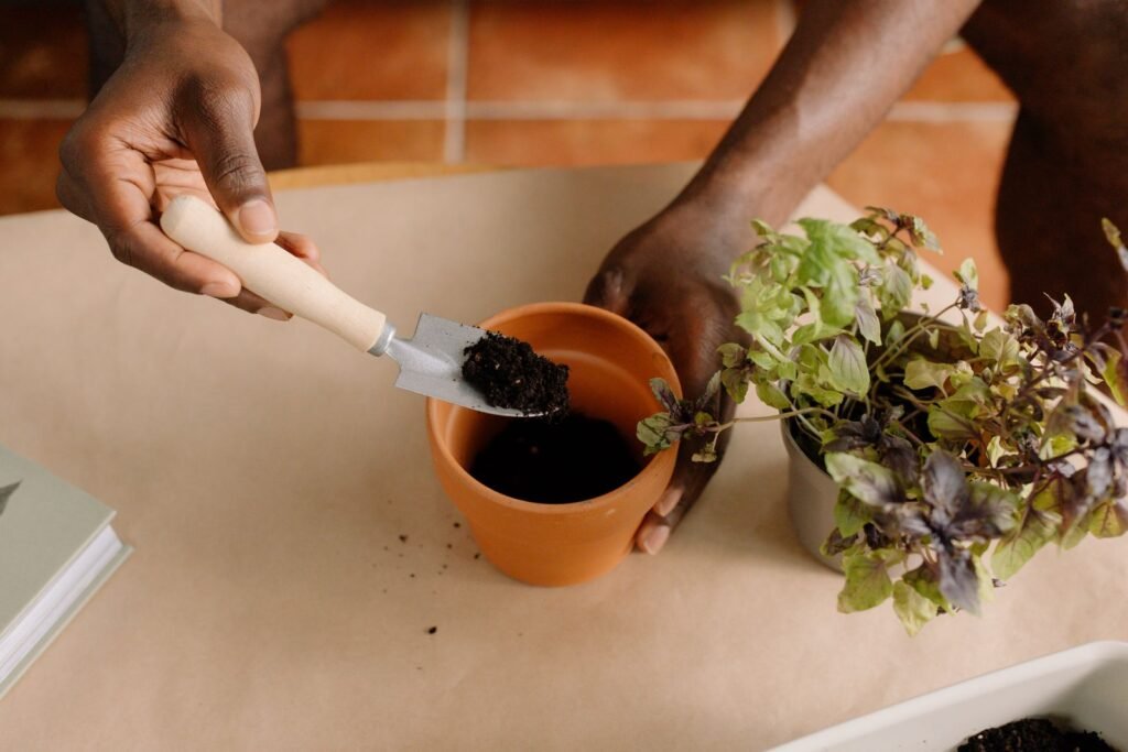 How to set up your herb garden