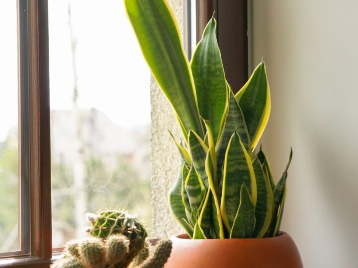 Plant Problems guides