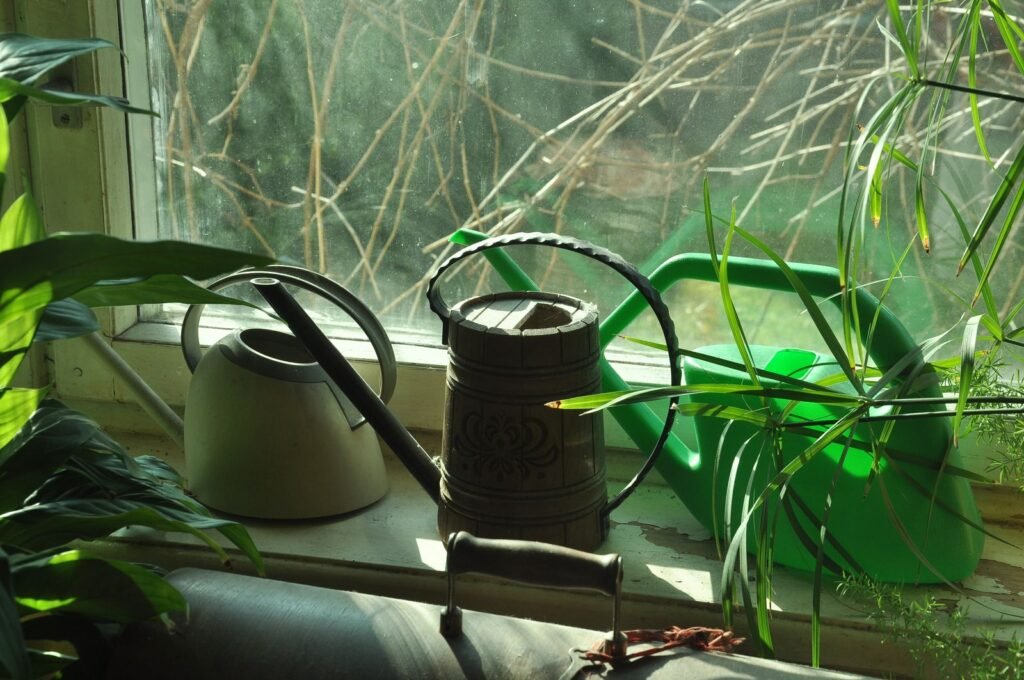 A proper indoor watering can