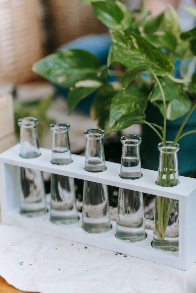 A propagation station