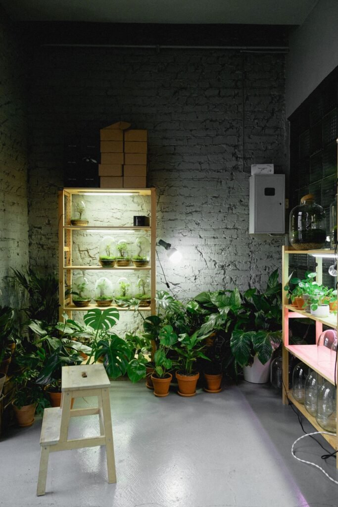 A designer grow light