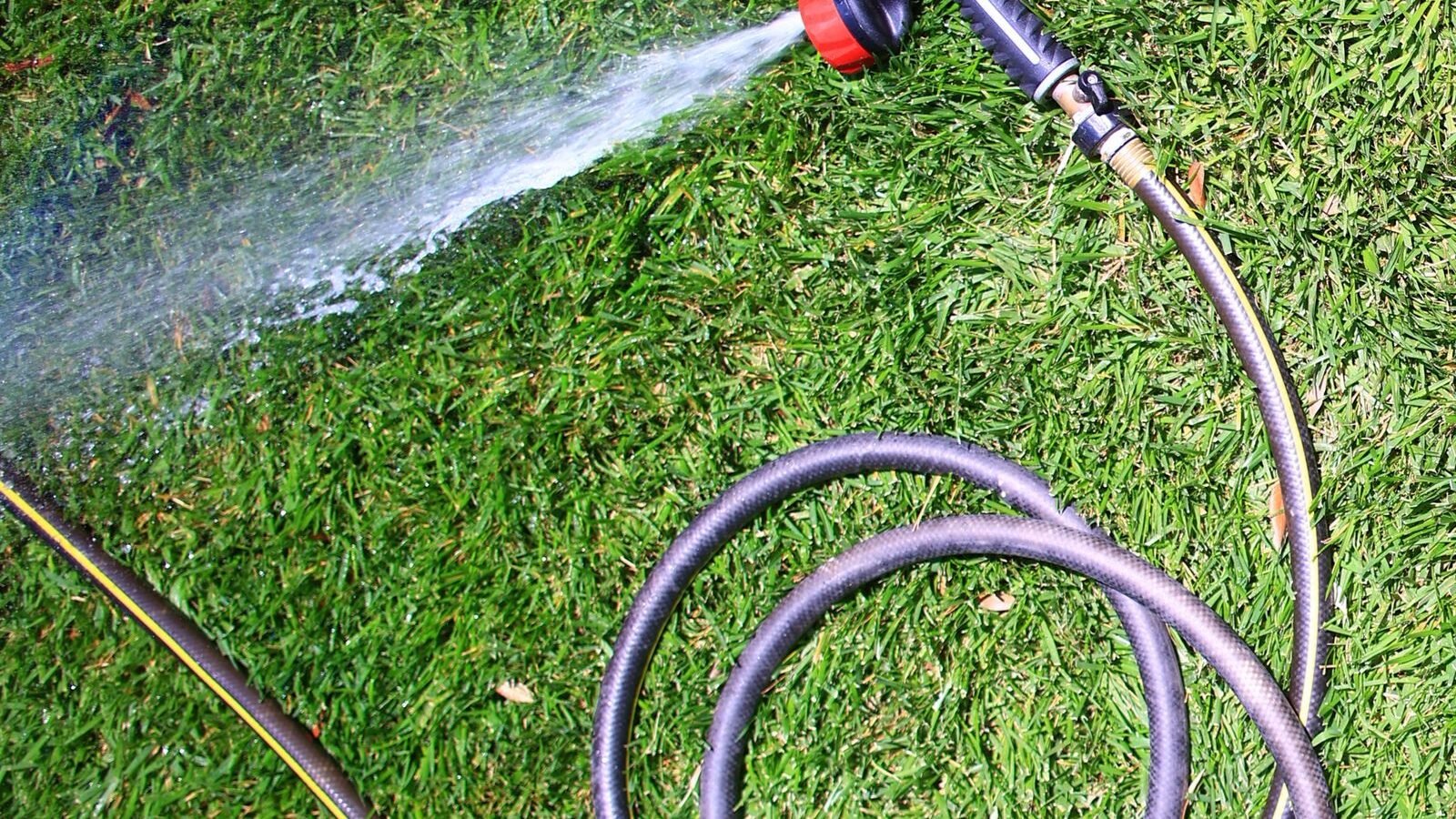 Water flowing from a garden hose onto plants
