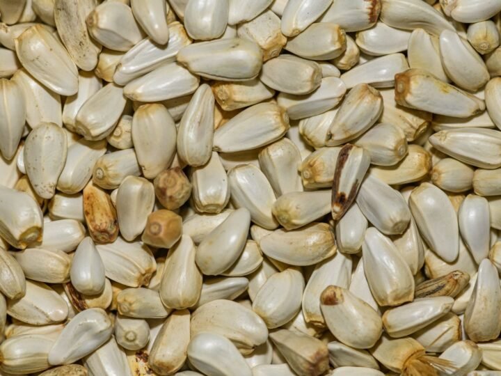 How to Plant Garlic in Fall (Step by Step, by Zone)