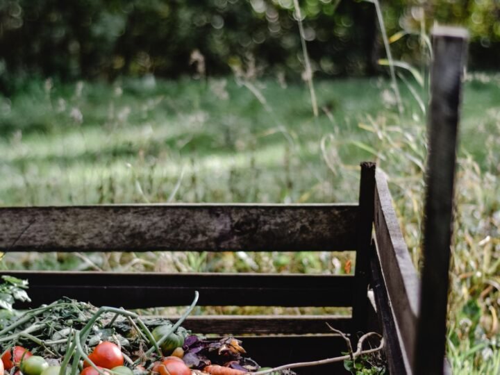 5 Best Raised Garden Bed Kits: Cedar, Metal and Budget