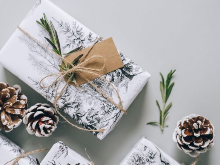 Christmas Plant Gifts: 15 Ideas Better Than Flowers