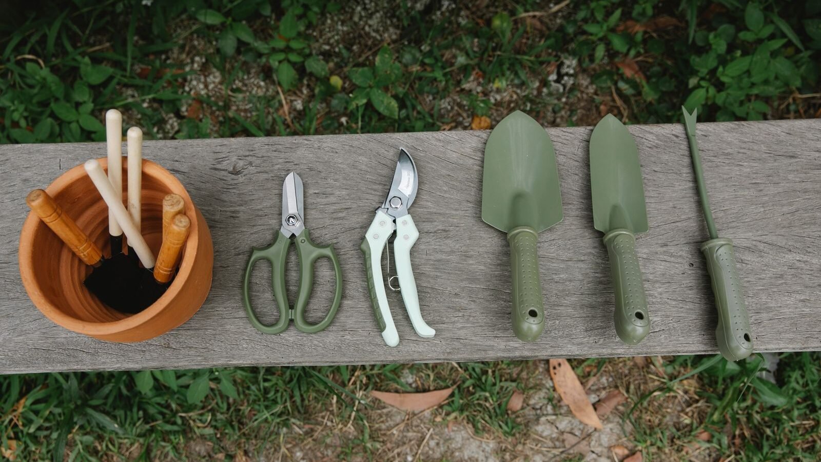 Gardening tools laid out on a wooden bench in a yard
