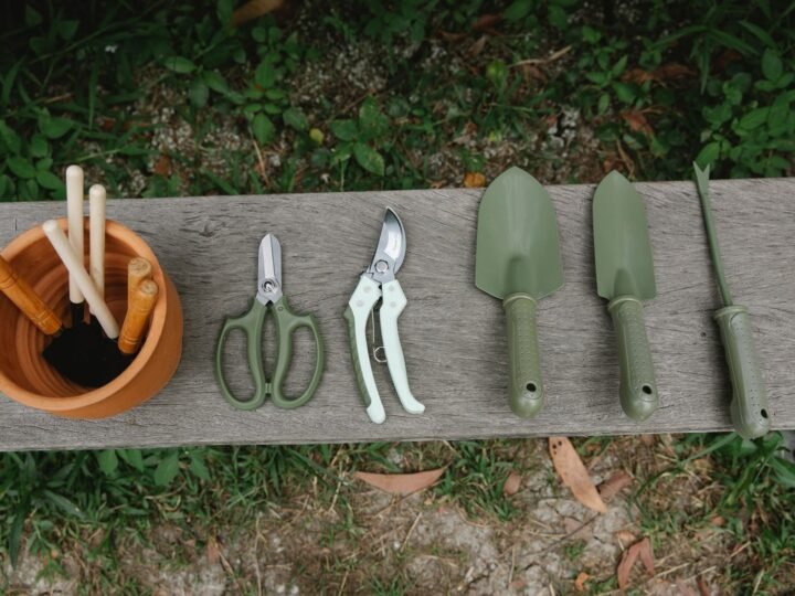 Best Gifts for Gardeners: 25+ Ideas for Every Budget (2026)